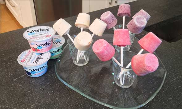 Frozen Yogurt Pops | Voskos®